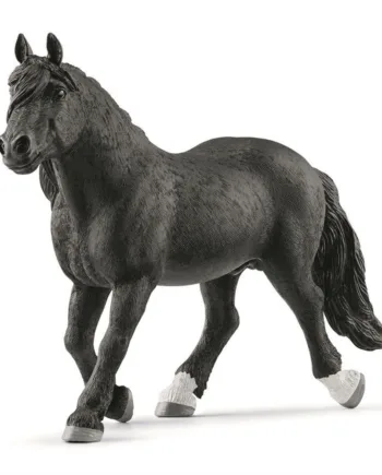 Noriker Hingst